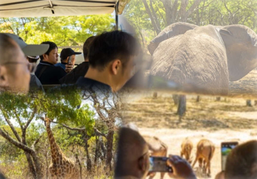 b1-1圖片 1 (3).jpg